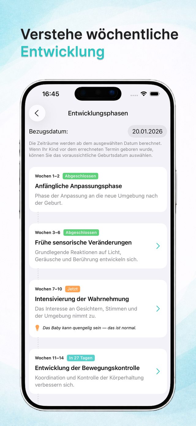Wöchentliche Entwicklungsphasen