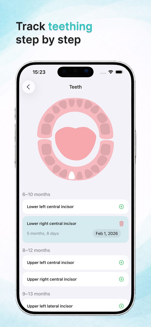 Interactive teething chart