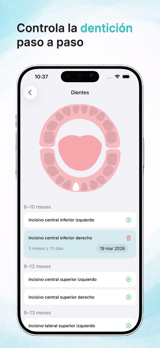 Mapa de dientes interactivo