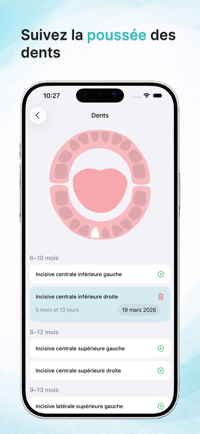 Carte des dents interactive