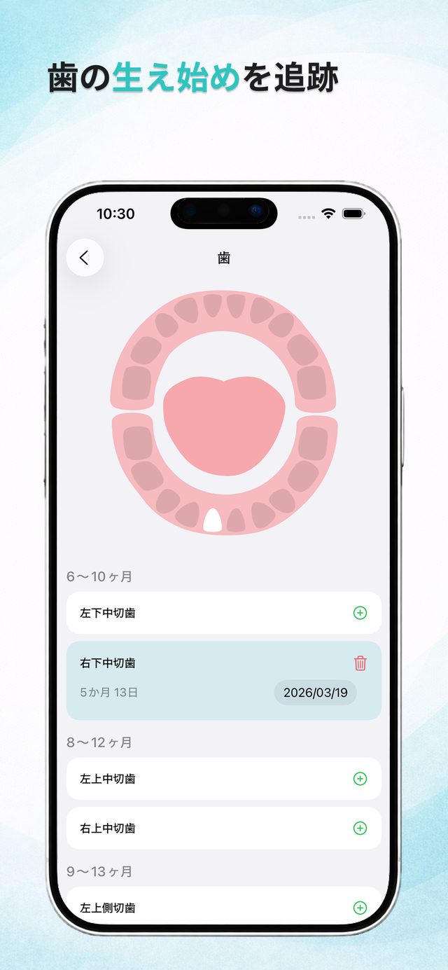 インタラクティブな歯の図