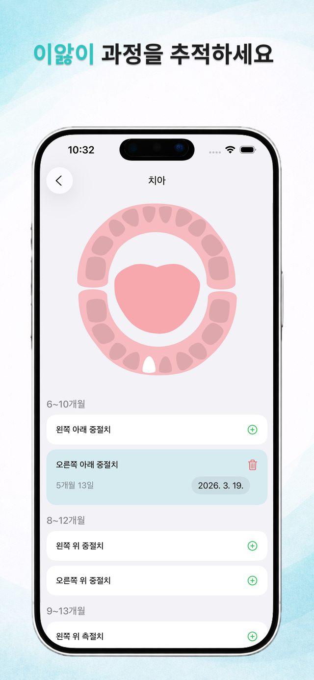 인터랙티브 치아 지도