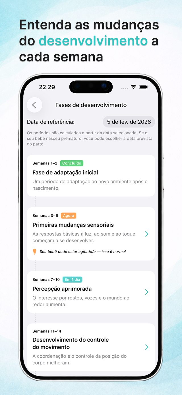 Fases do desenvolvimento semanais