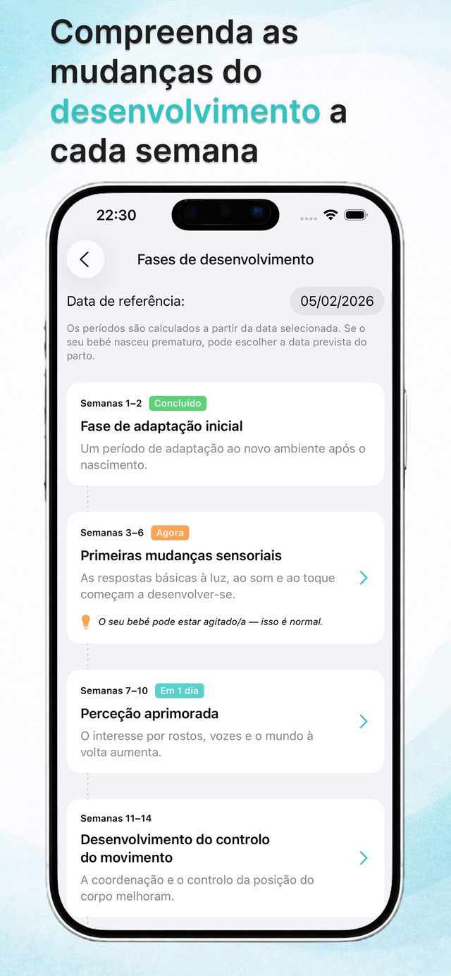 Fases do desenvolvimento semanais
