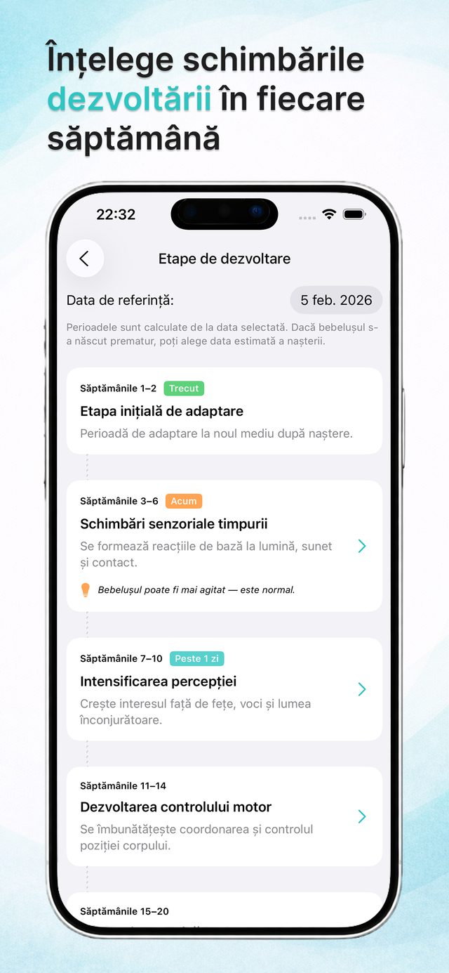 Faze de dezvoltare săptămânale
