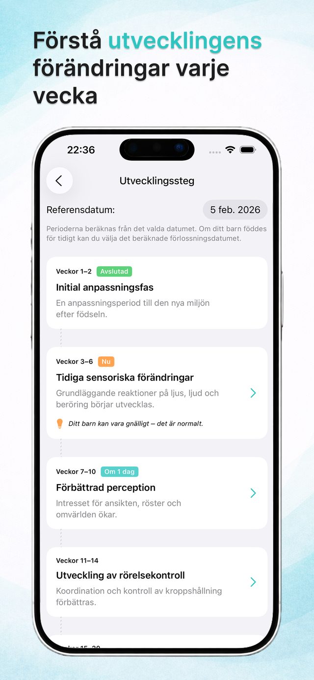 Veckovisa utvecklingsfaser