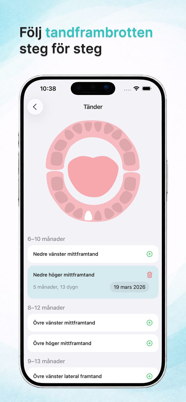 Interaktiv tandkarta