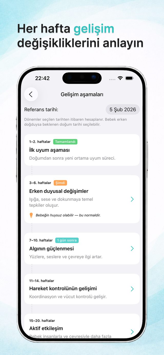 Haftalık gelişim evreleri