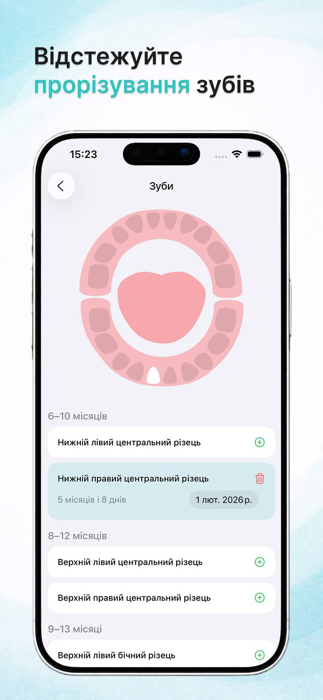 Карта прорізування зубів
